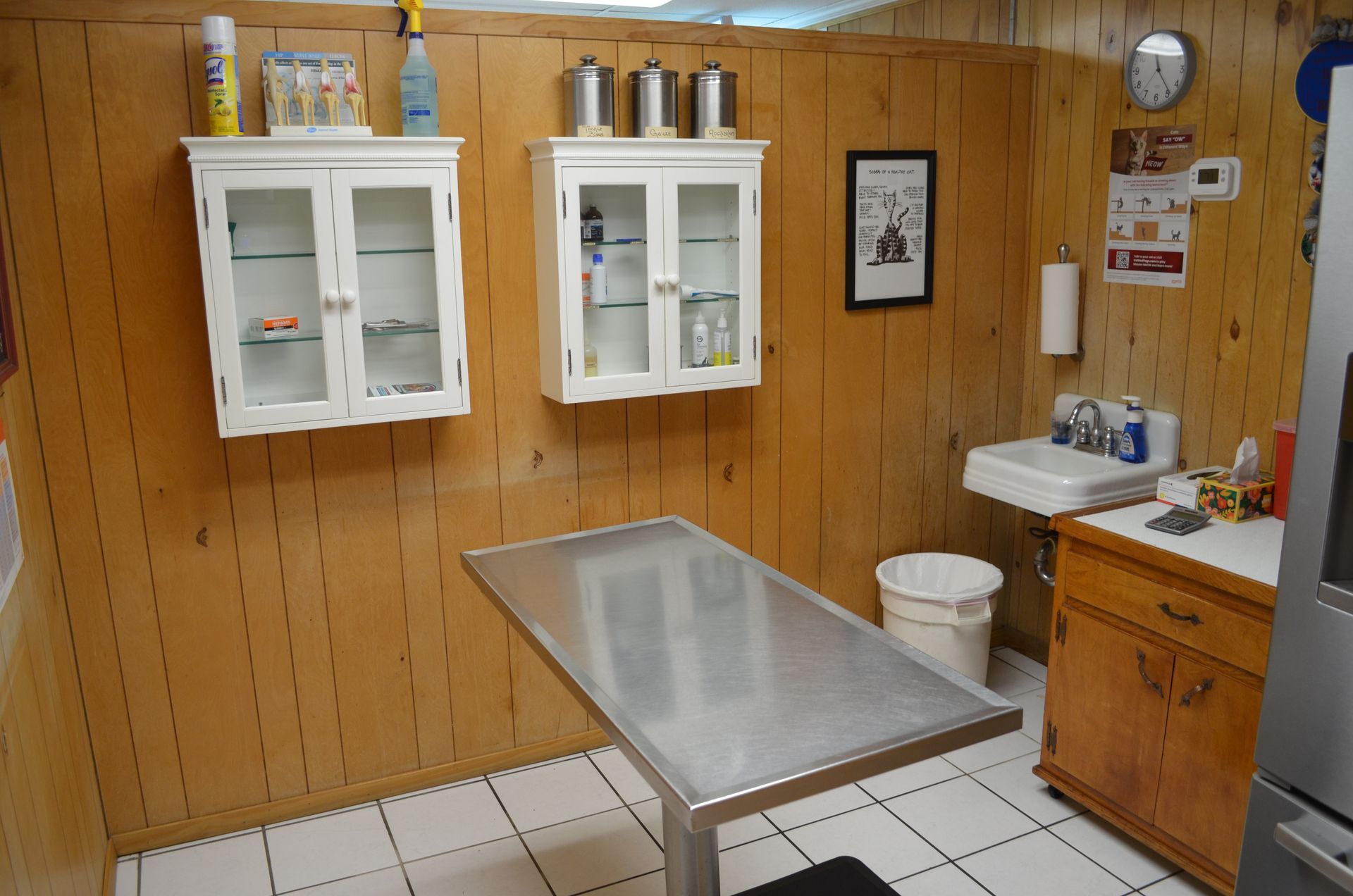 Veterinary examination room with stainless steel table, cabinets, sink, and wood-paneled walls.