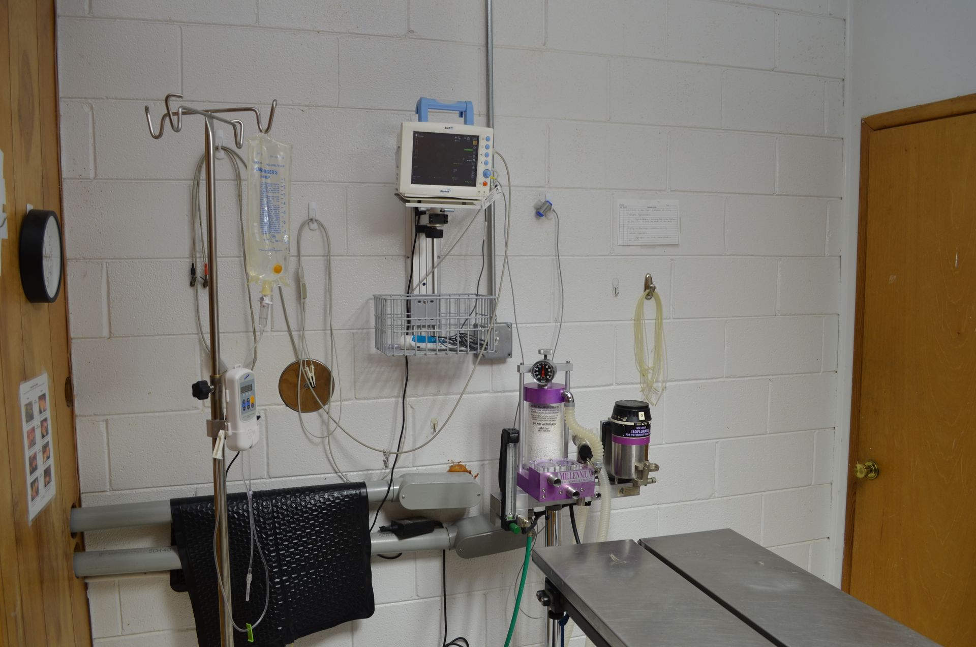 Medical equipment in a vet clinic room: IV stand, monitor, and an exam table.