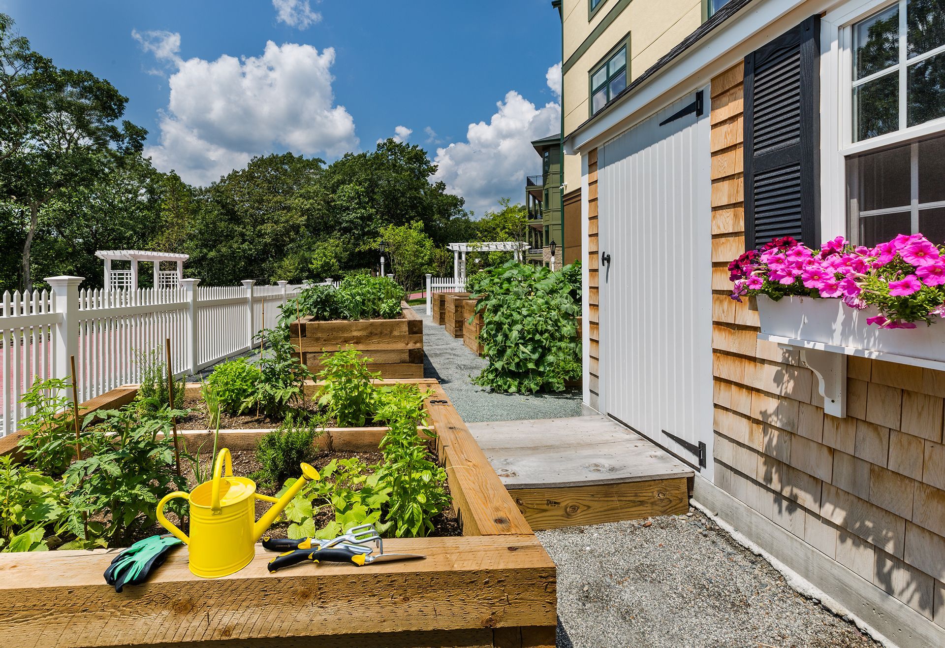 Raised garden beds next to a building with a white door and pink flowers in window boxes.