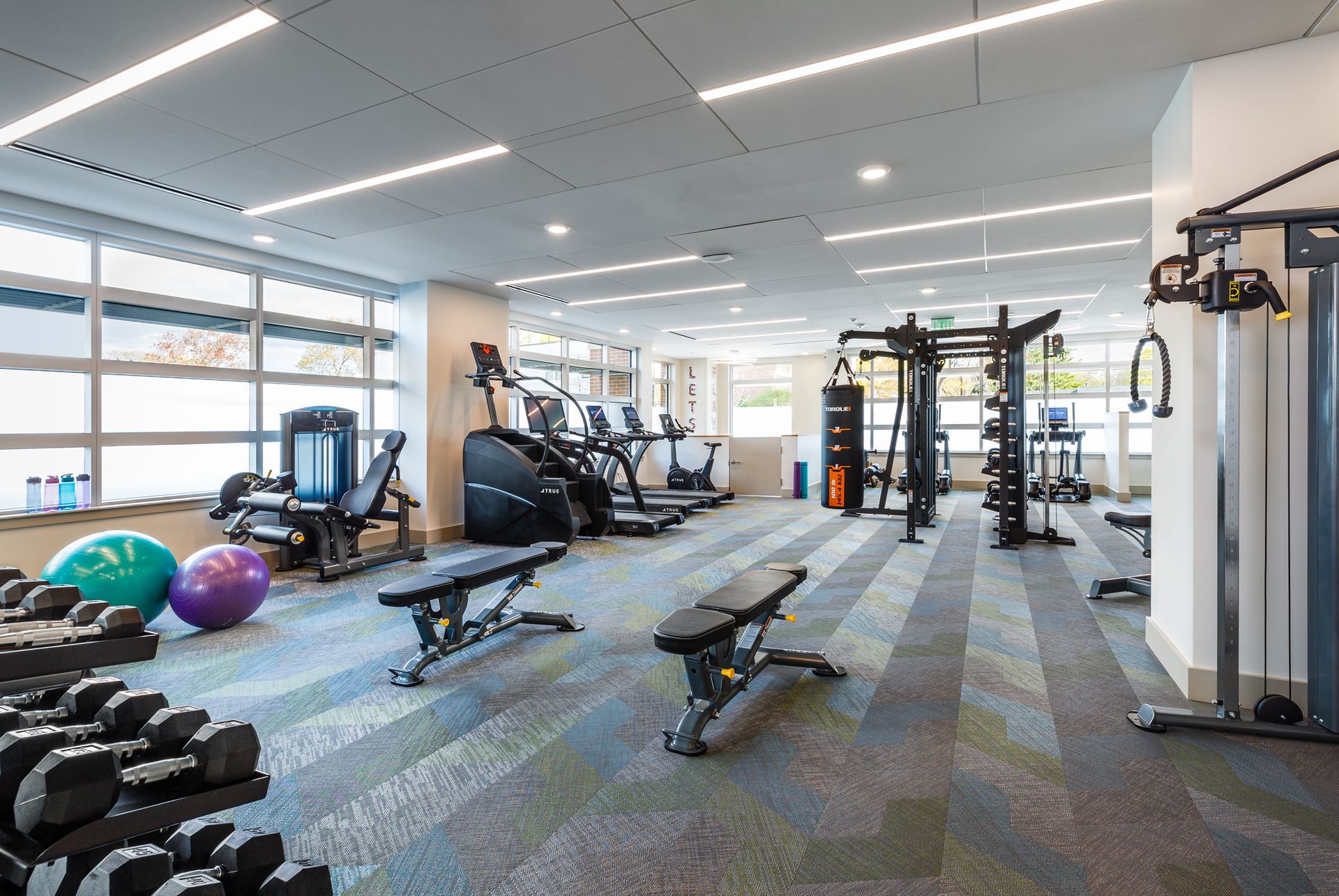 Gym interior with workout equipment. Exercise machines, weights, benches, and fitness balls on a patterned floor.