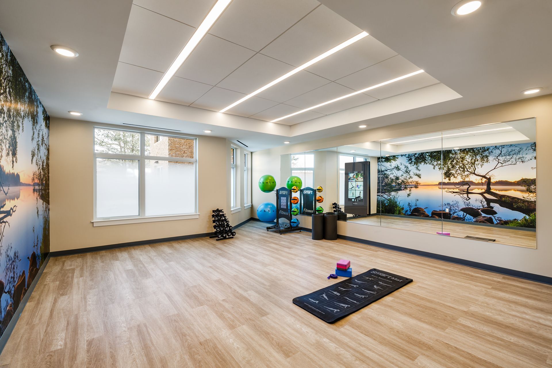 Gym with exercise equipment, large mirror, and scenic wall murals.