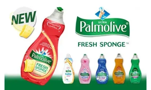Dish Washing Products