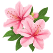 Azalea Pulizie logo