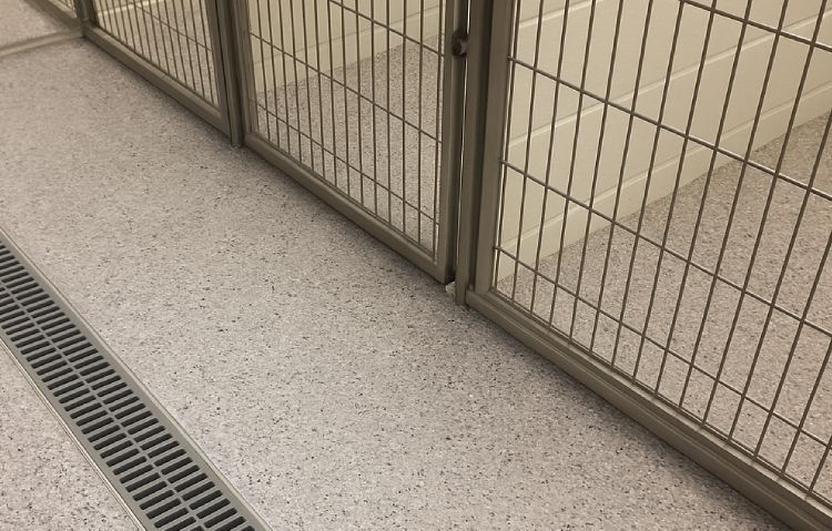 clean, safe animal care facility with durable epoxy flooring