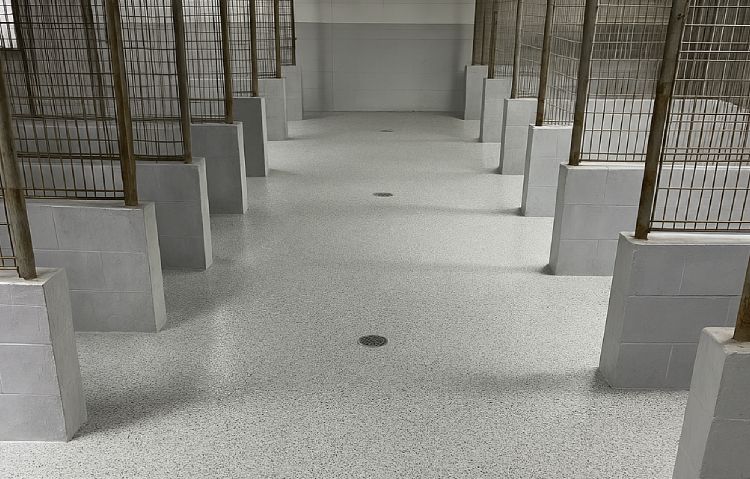 indoor animal kennel with durable epoxy flooring system