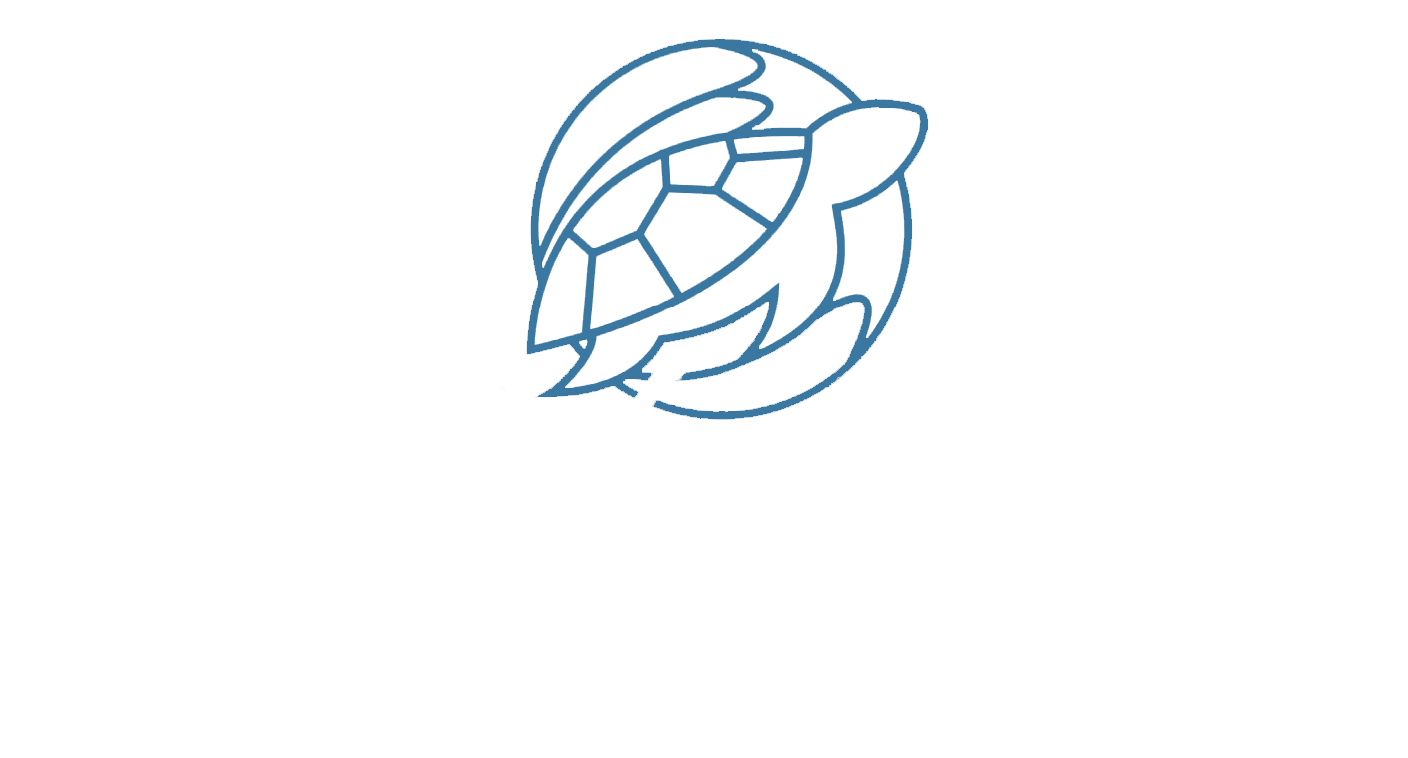 Welcome to Wide Bay Tinting: Your Window Tinting Specialists