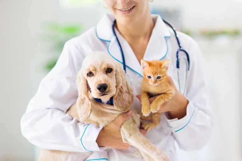 Vet With Dog and Cat - Arlington, TX - Green Oaks / Arkansas Animal Hospital