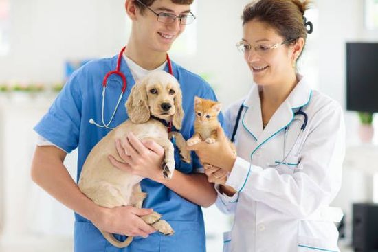 Two Vet Doctor With Glasses Holding Dog and Cat - Arlington, TX - Green Oaks / Arkansas Animal Hospital