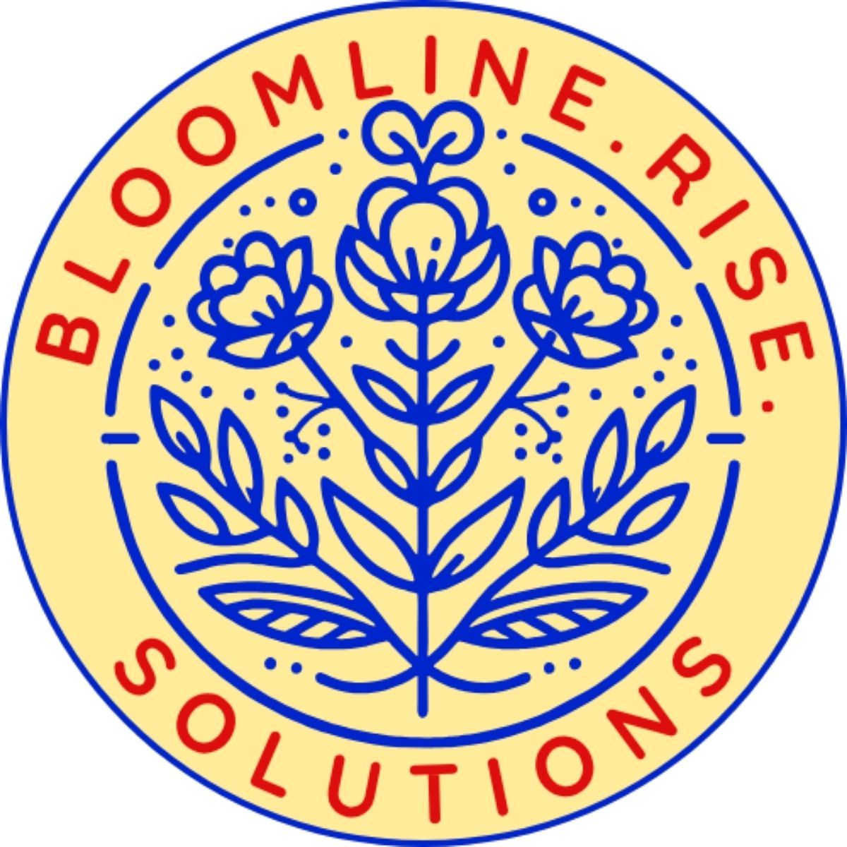 facebook ads services in Vancouver, Bloomlinerise Solutions, digital marketing agency vancouver