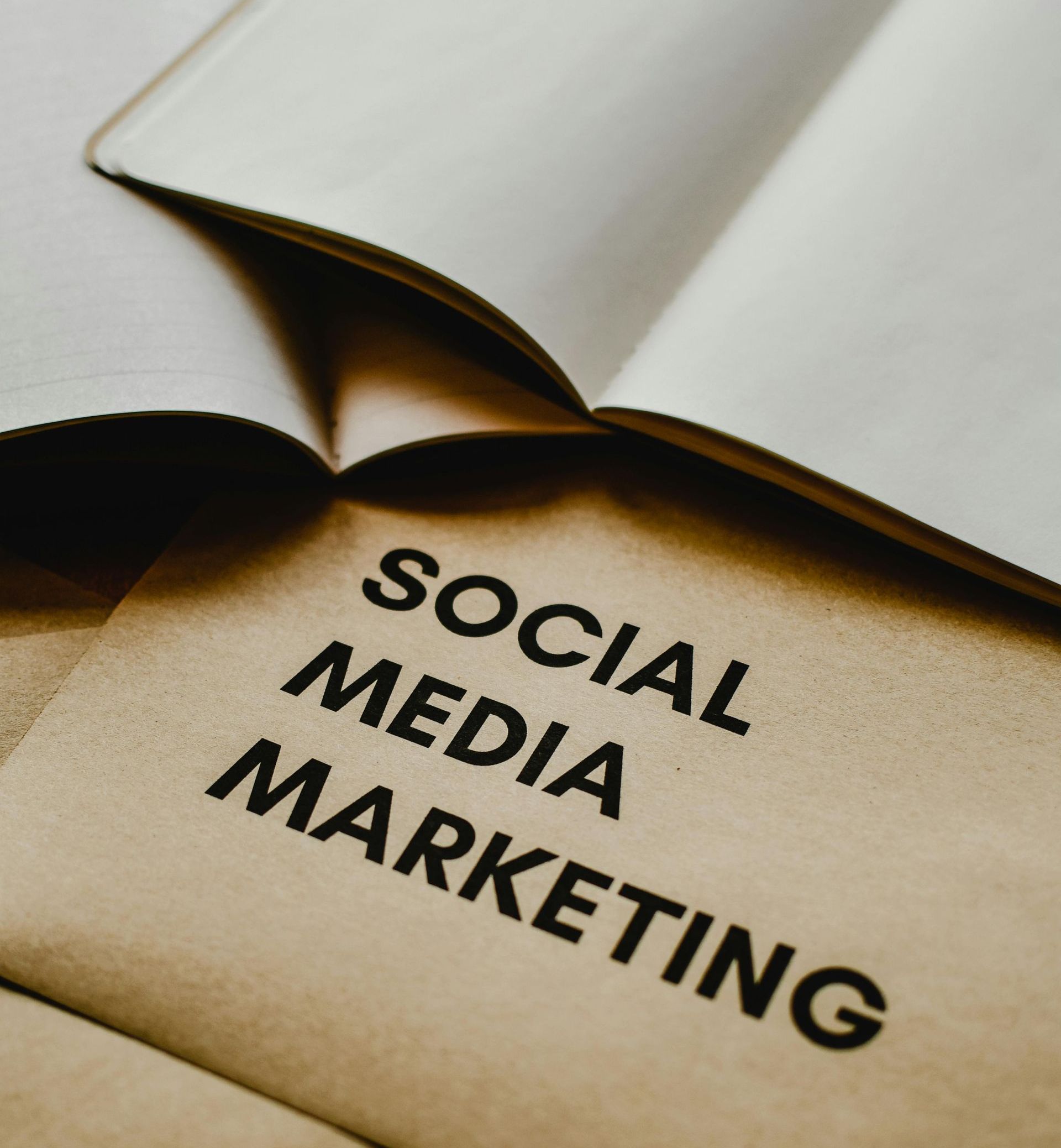 bloomlinerise.solutions - Marketing