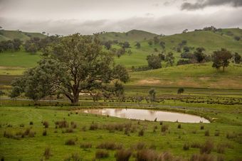 There Is A Small Pond In The Middle Of A Grassy Field — Furniture & Auto Pride in Bonny Hills, NSW