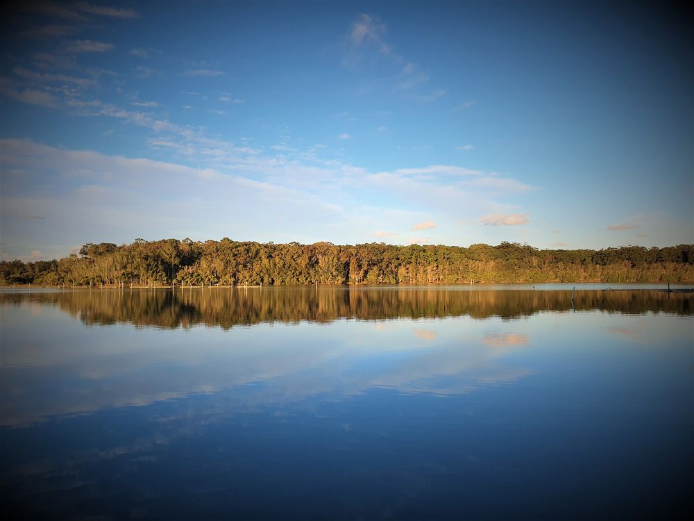 A Lake With Trees On The Shore And A Blue Sky — Furniture & Auto Pride in Laurieton, NSW