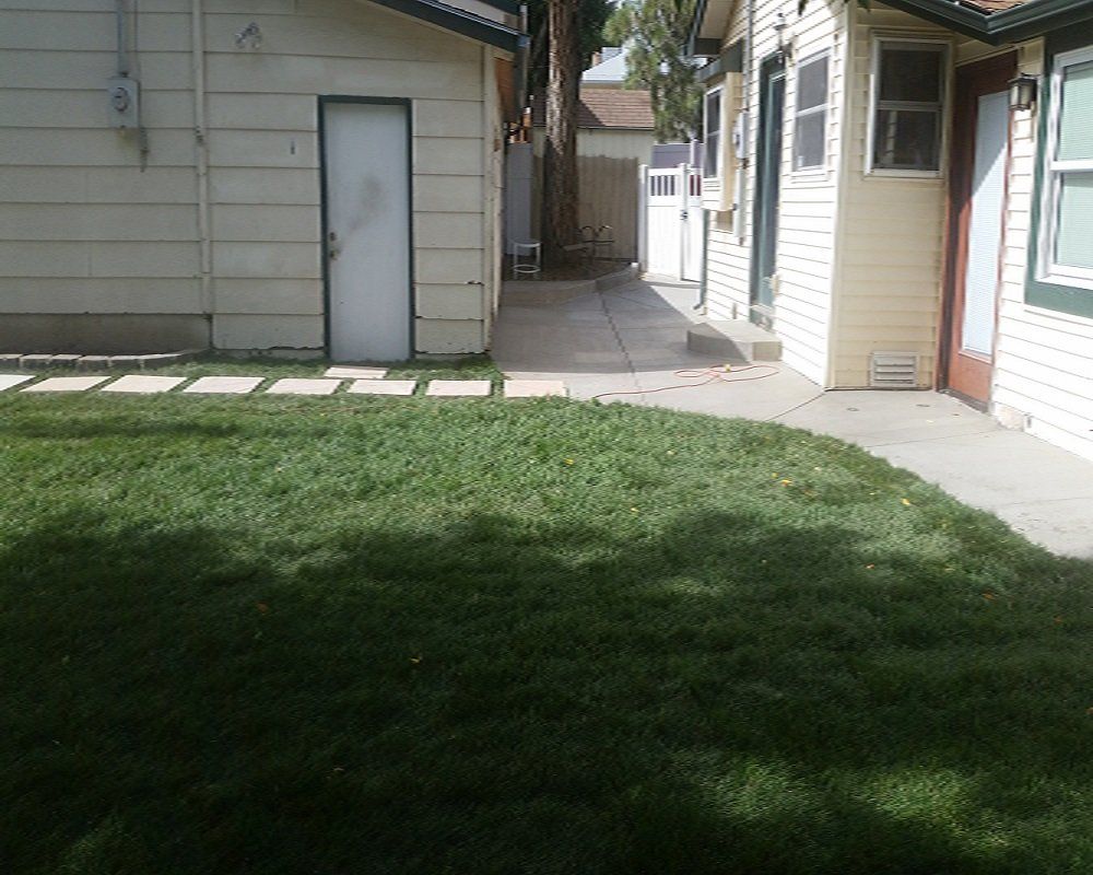 6Complete finish of Concrete and lawn installation -6