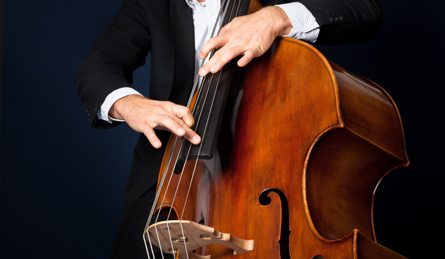 virtual double bass