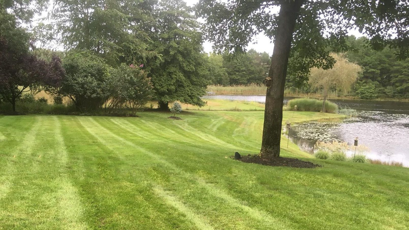 A freshly mowed, lush green lawn with a tree and a lake in the background.