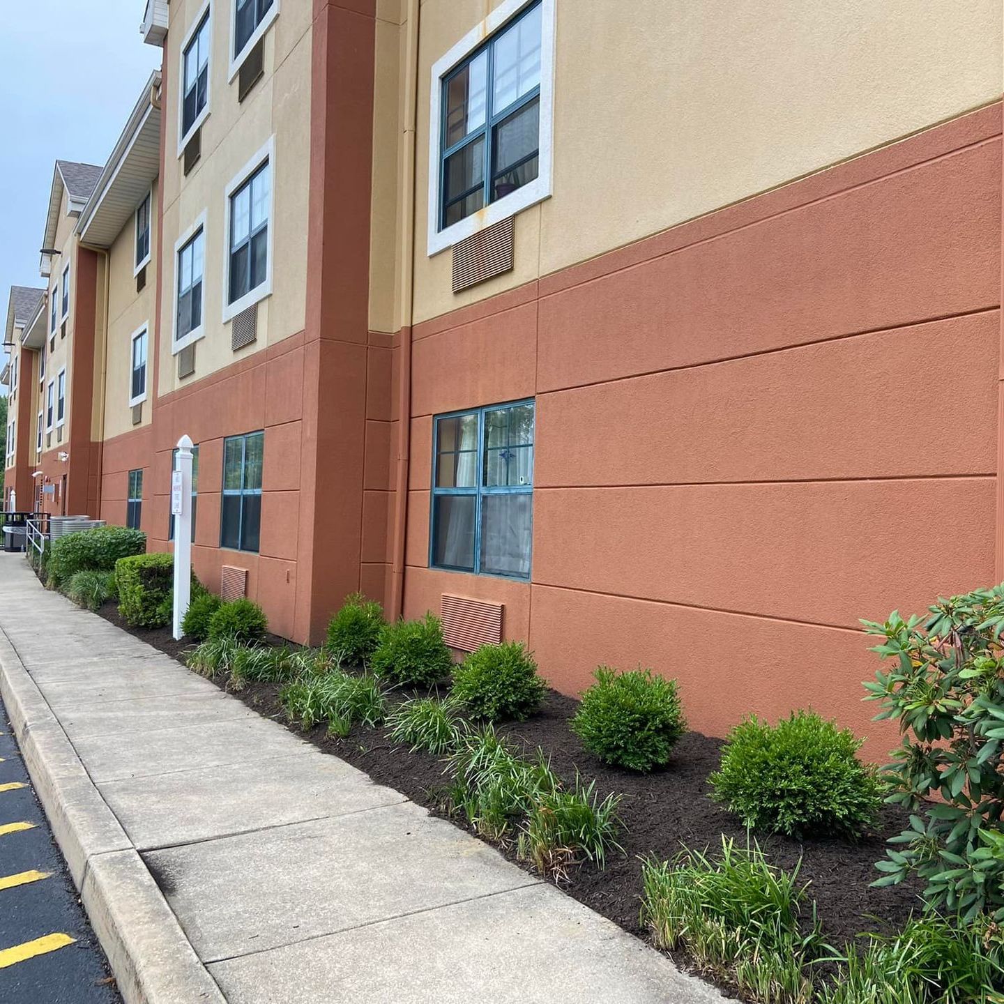 Freshly trimmed and mulched area next to the sidewalk at a hotel