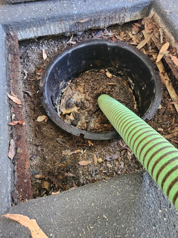 Green hose in a dark circular container filled with debris, set in a gray concrete frame — Landsborough Septic Services in Landsborough, QLD