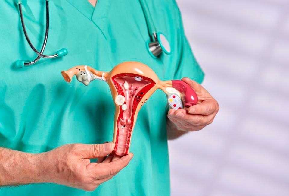 specialisti in ginecologia