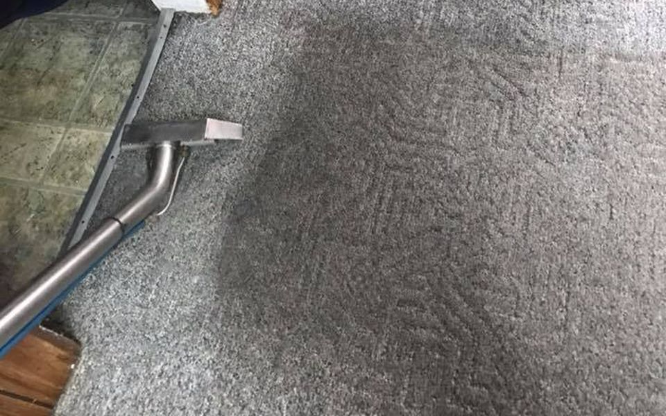 Carpet being cleaned with a carpet cleaner, showing wet and clean streaks on gray carpet.