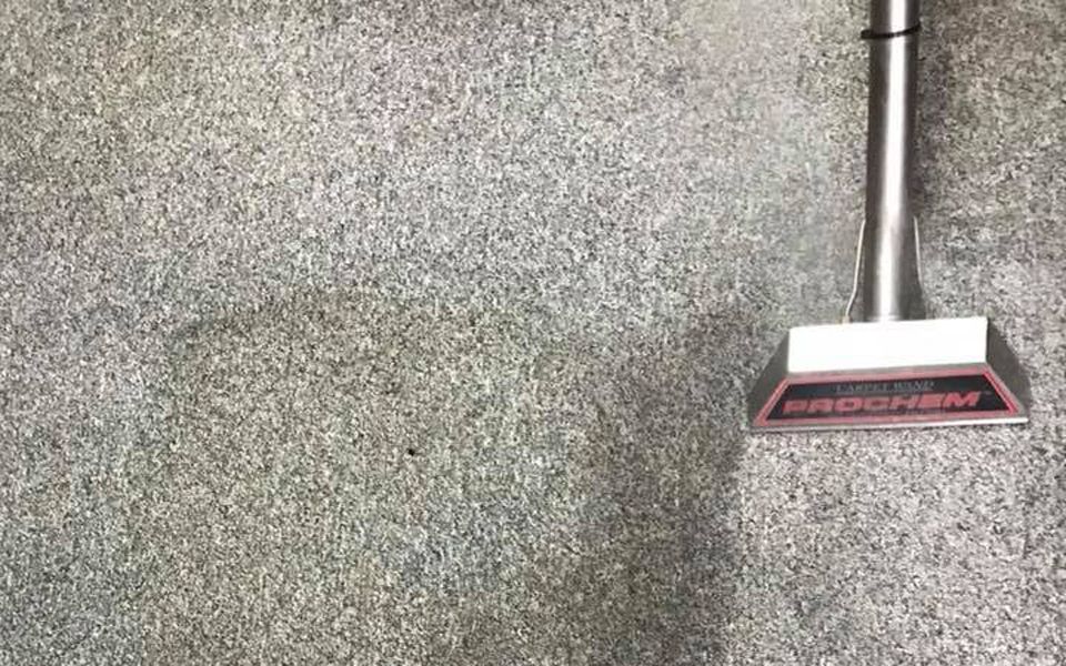 A carpet cleaning machine head rests on gray, speckled carpet.