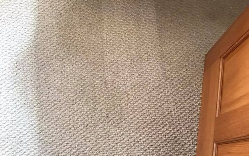 Beige carpeted floor next to a wooden door, showing texture and light variations.