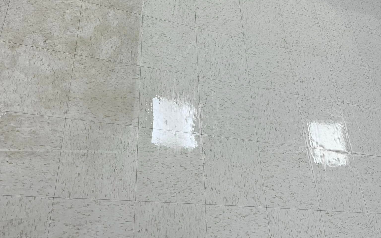 Gray, speckled floor with two bright white squares and subtle grid lines.