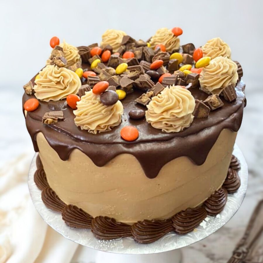 chocolate and peanut butter custom cake