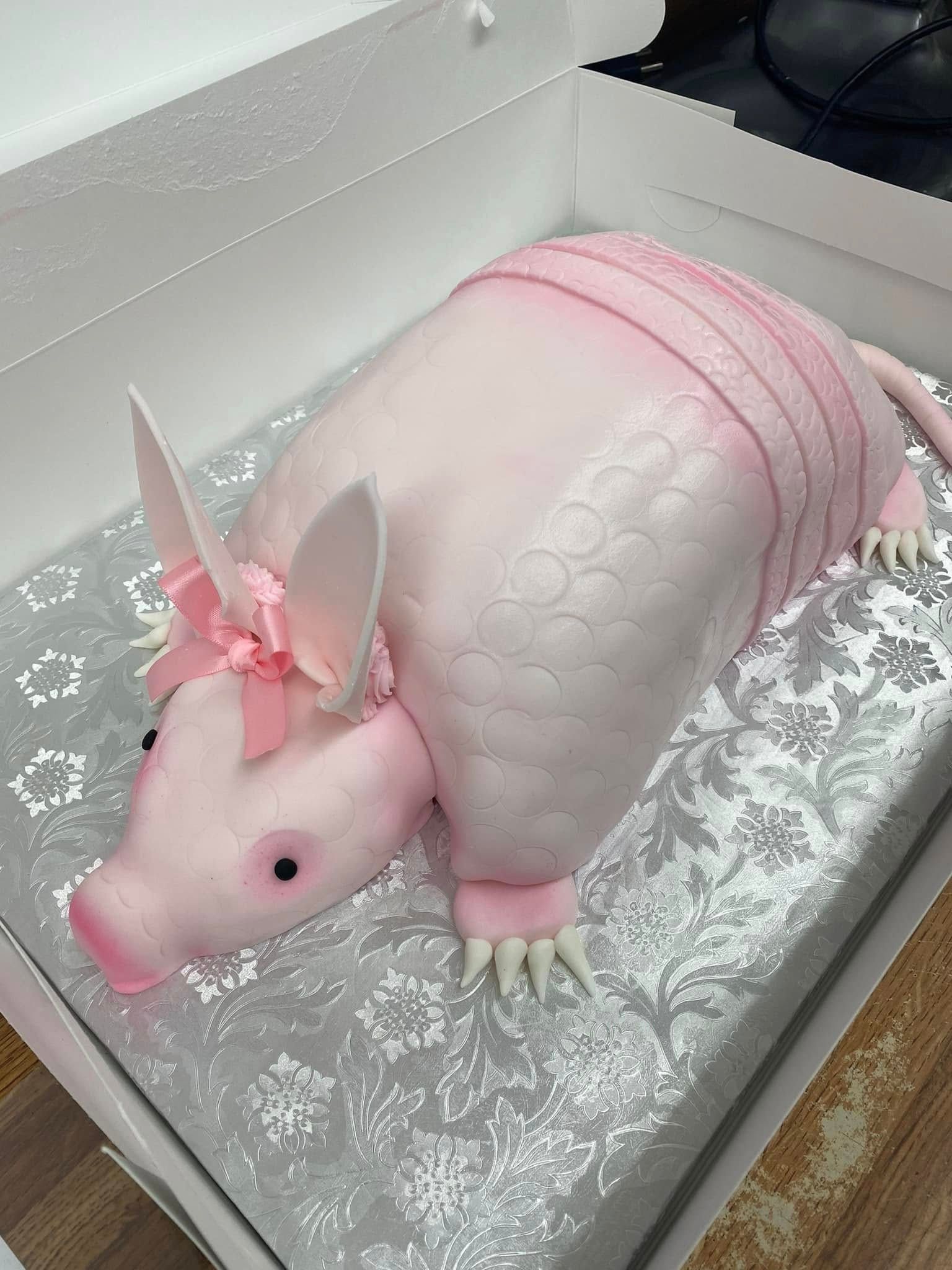 pink armadillo cake