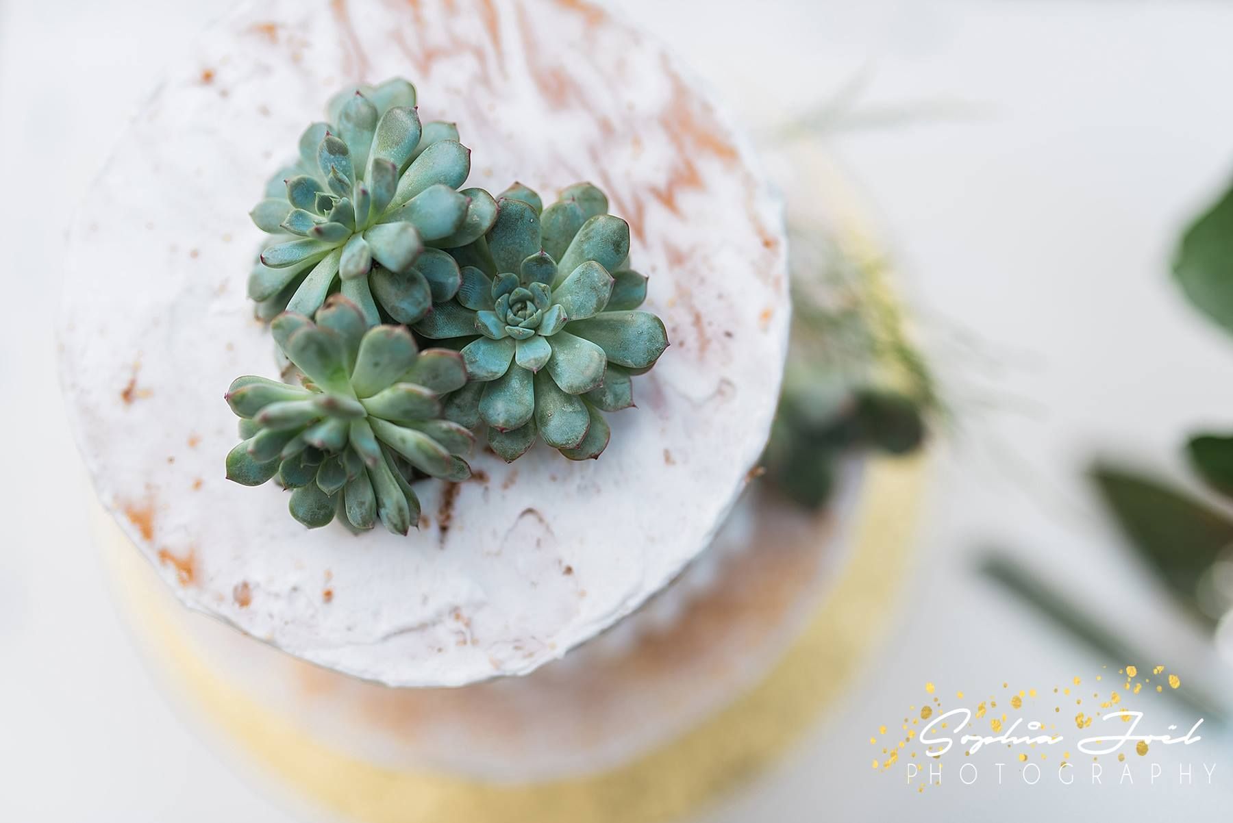 wedding cake with succulent topper