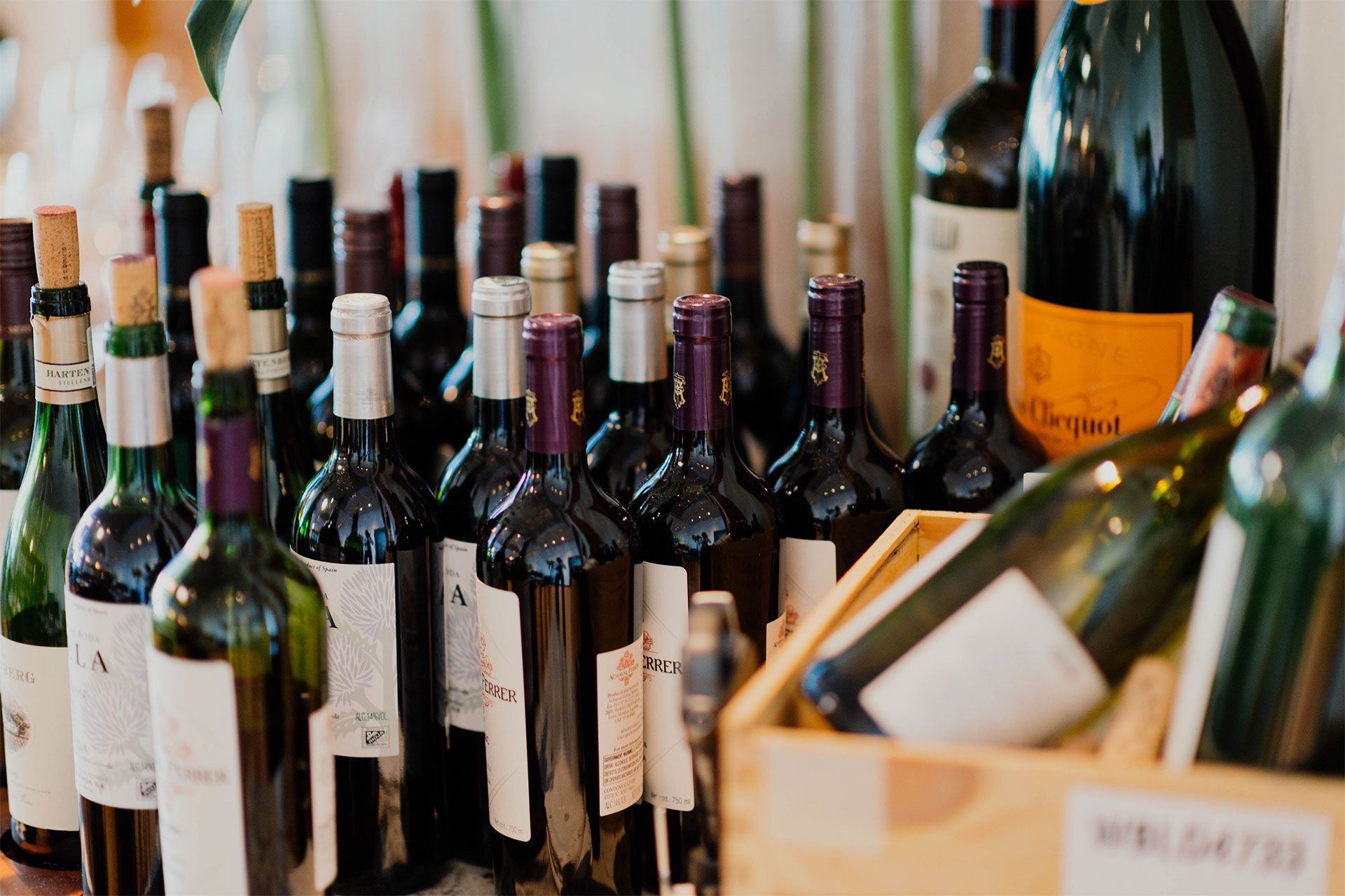 The Benefits of Choosing a Climate-Controlled Storage Unit for Your Wine Collection