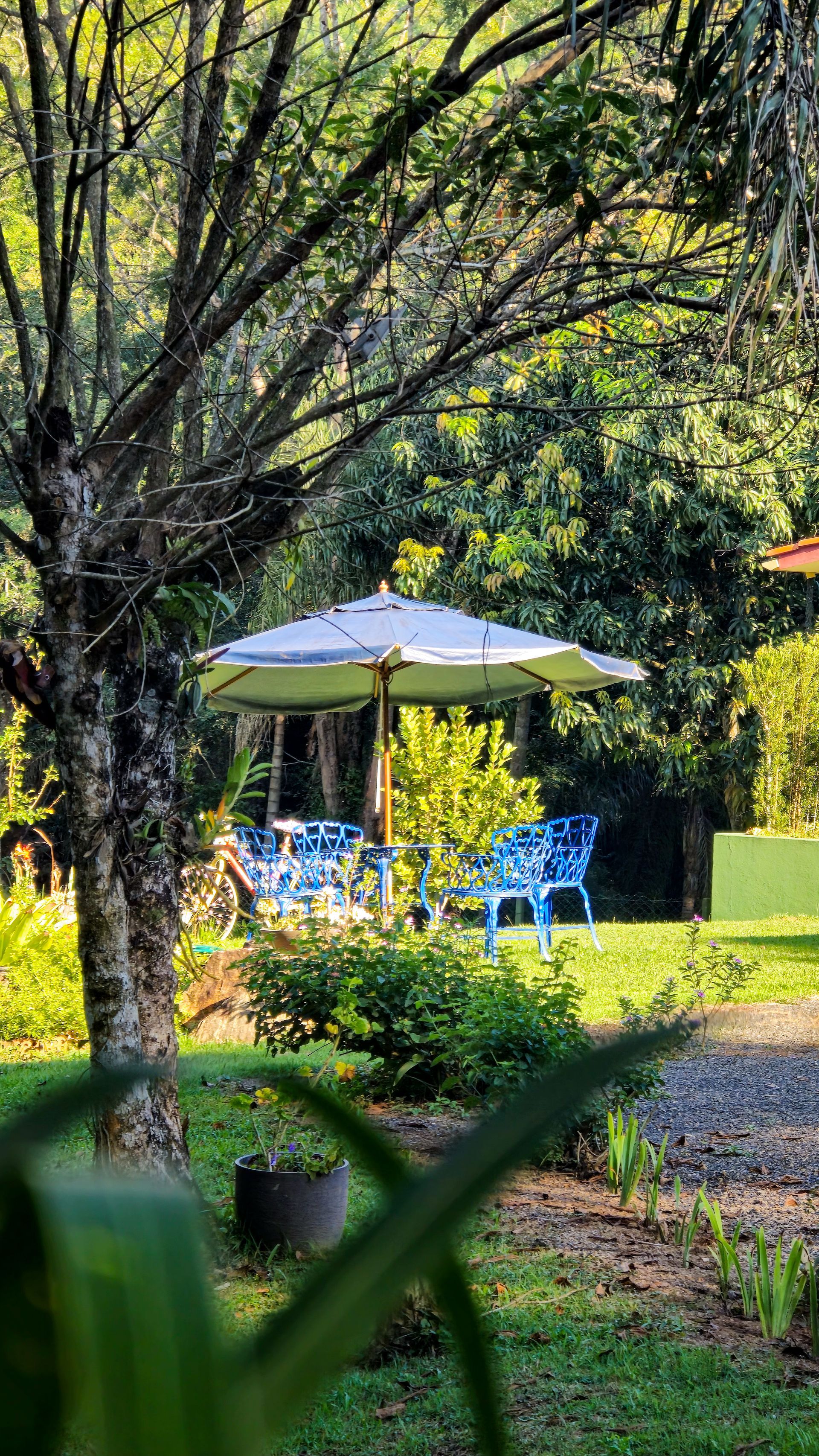 Uma área de estar externa sombreada com cadeiras azuis e um guarda-sol branco, rodeada por árvores e vegetação.