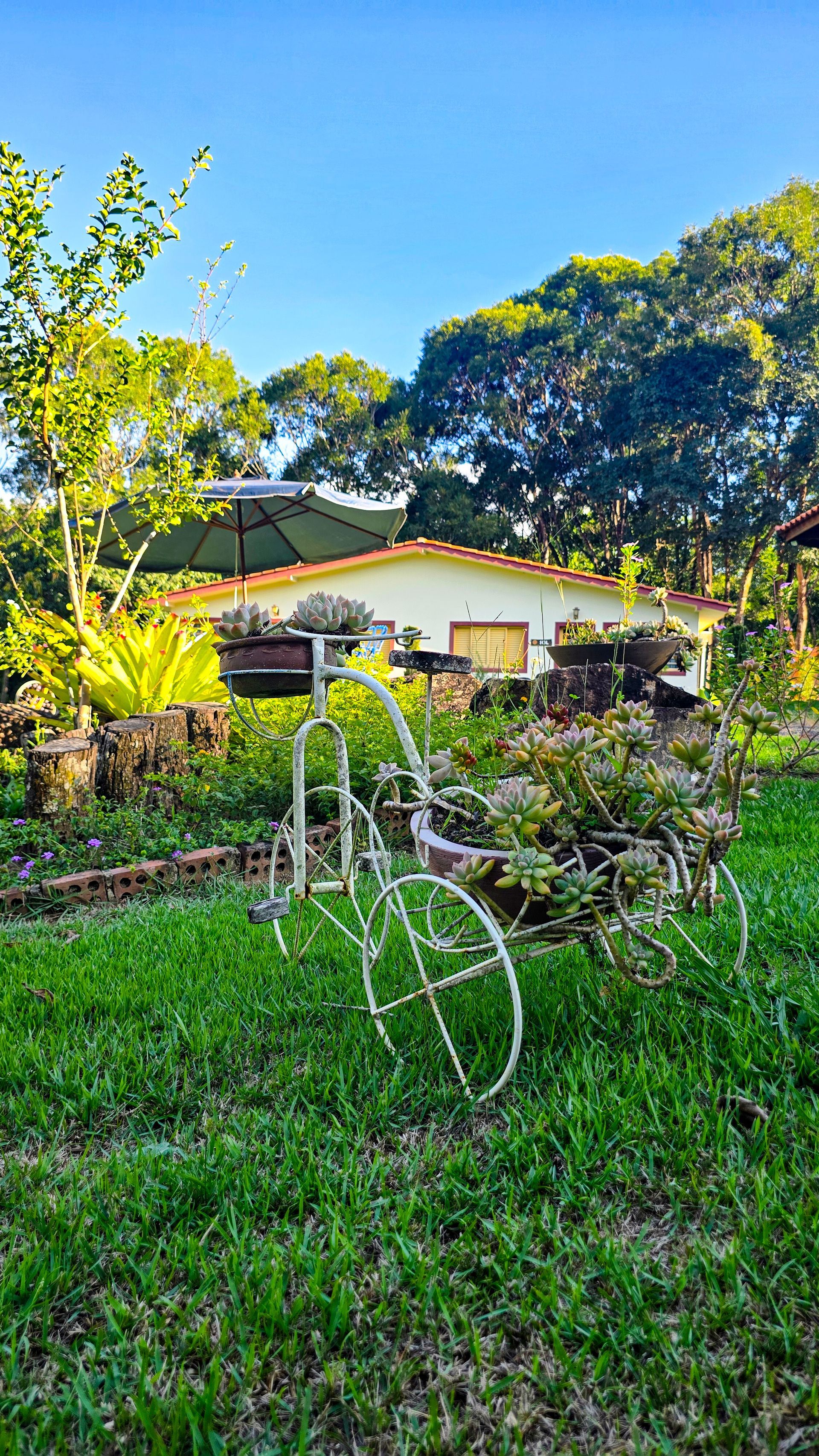 Um carrinho de metal branco em um jardim com uma casa ao fundo e um céu azul acima.