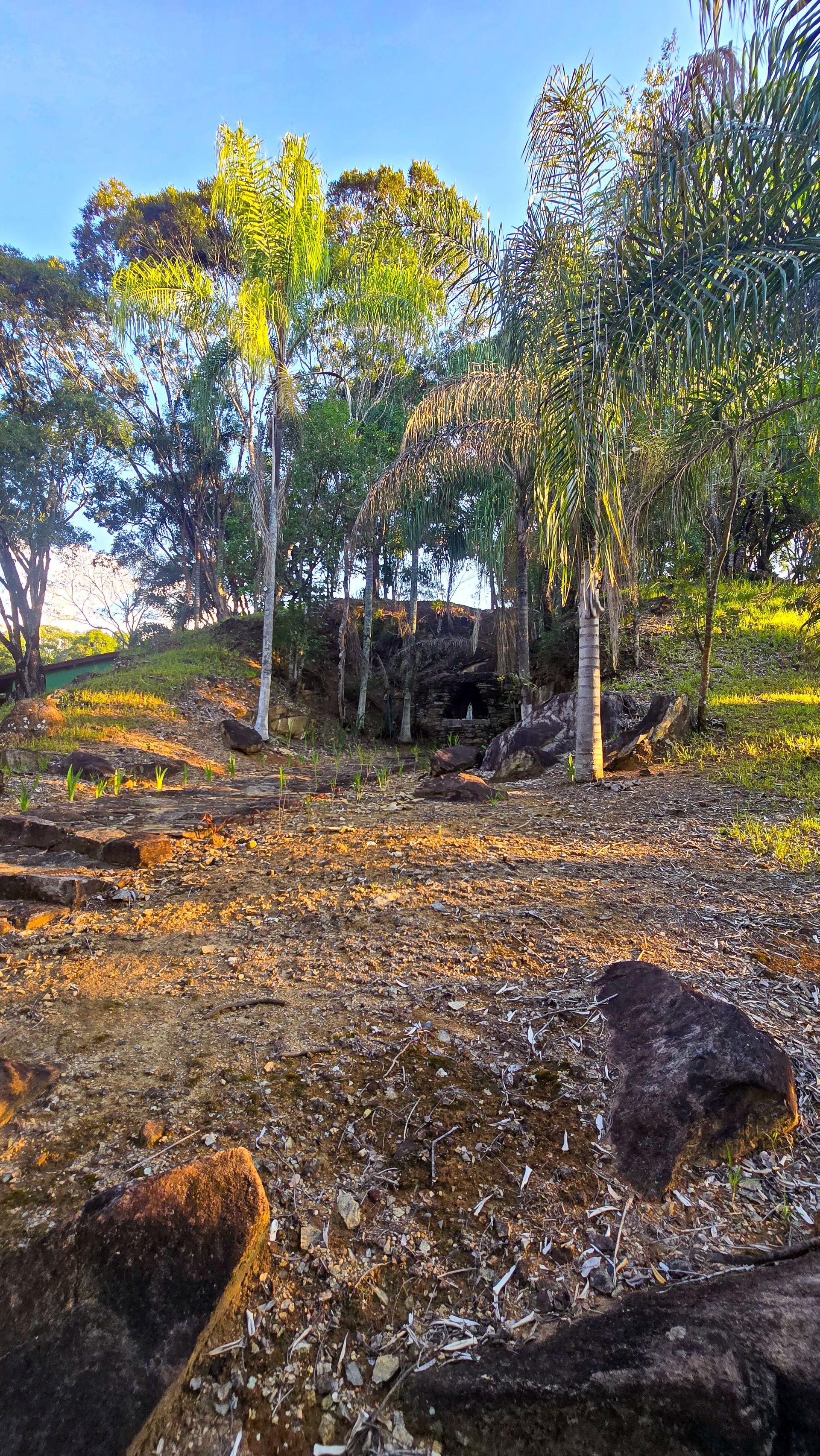 O terreno rochoso leva a uma clareira na floresta, onde a luz do sol filtra-se através das árvores.