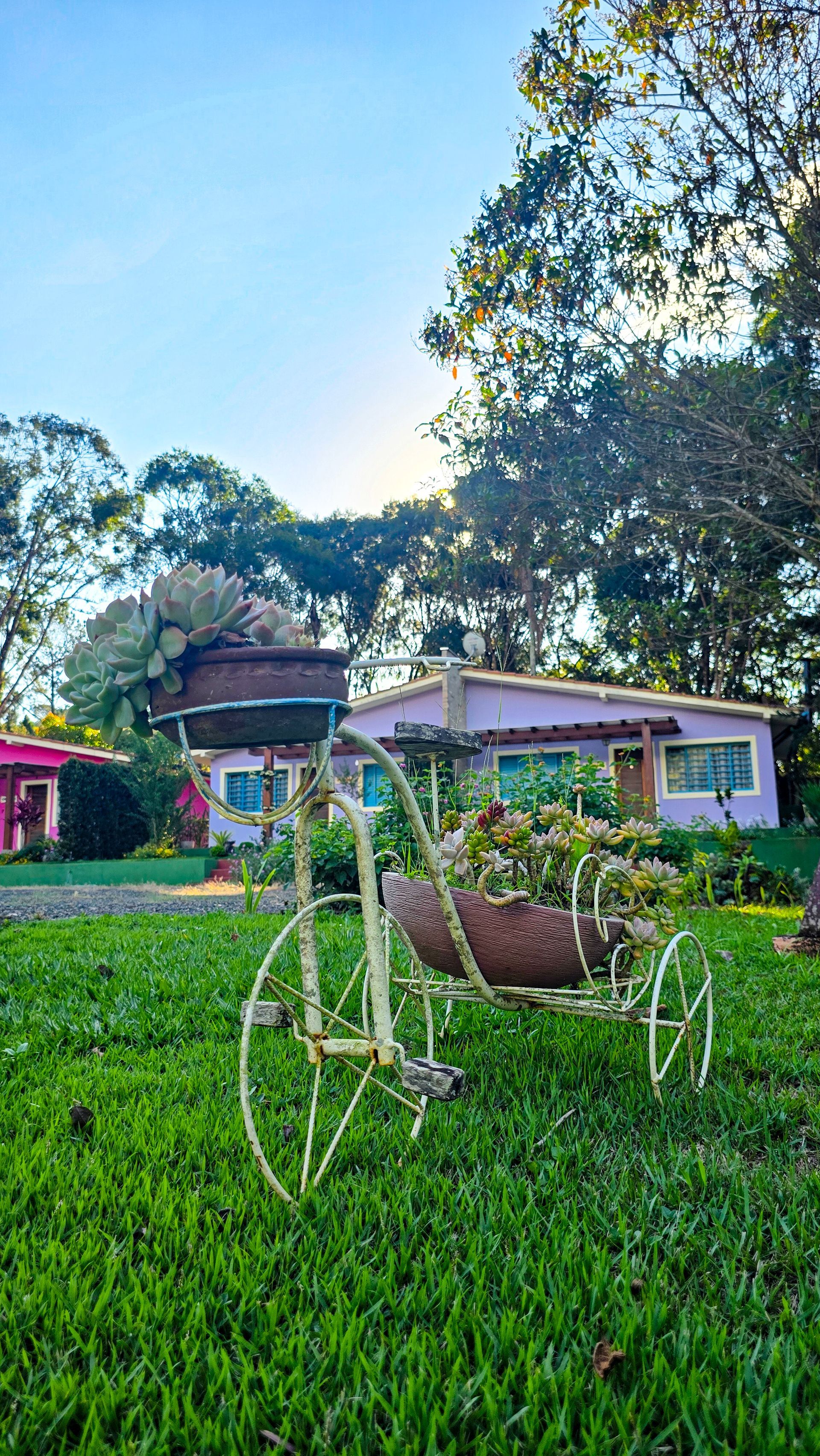 Carrinho decorativo cheio de plantas em um gramado; casa rosa claro ao fundo.