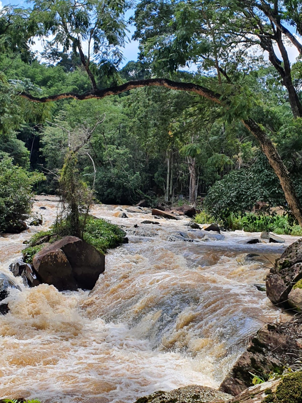 Rio marrom caudaloso fluindo por uma exuberante floresta verde, sobre rochas.