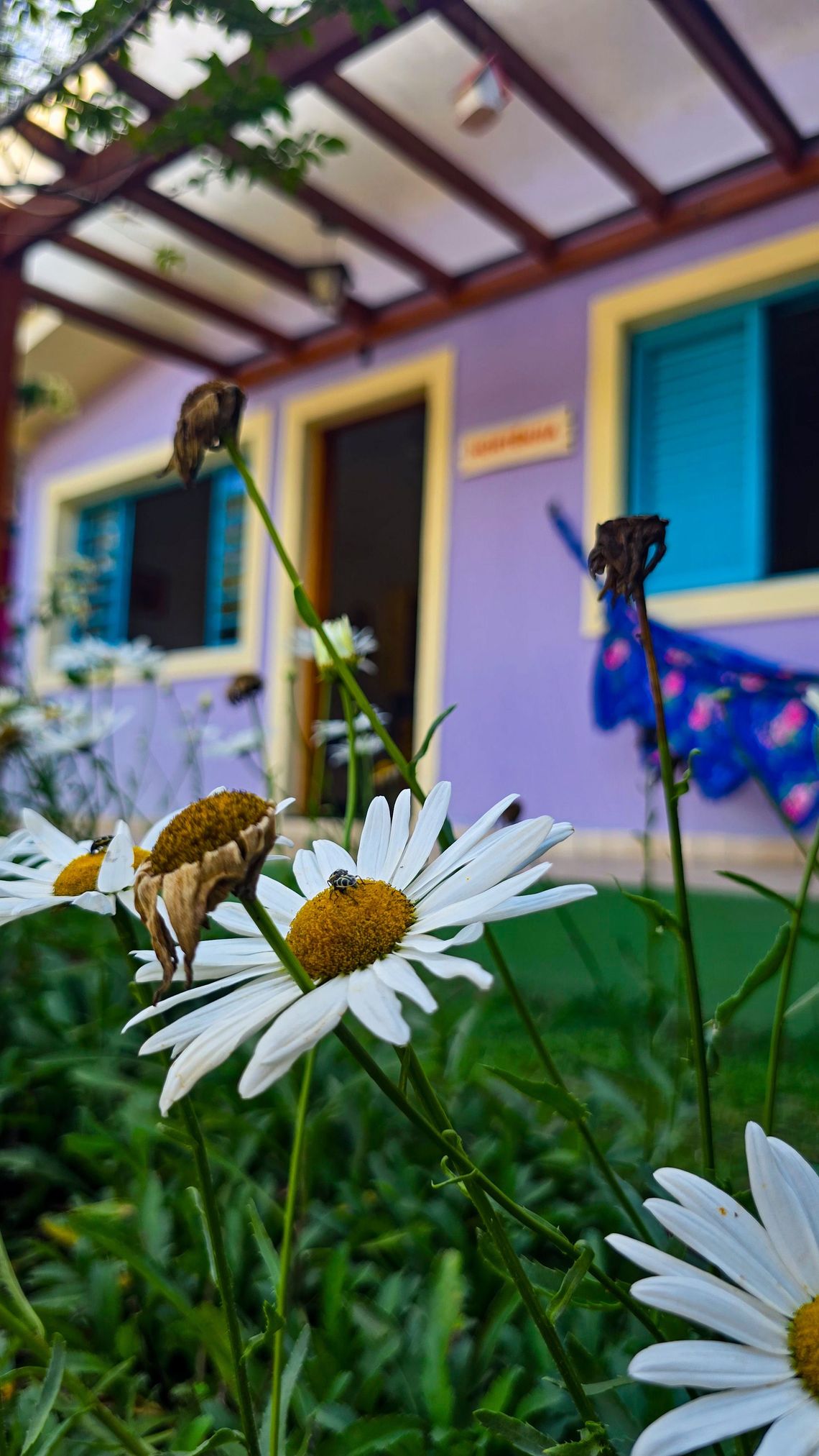 Quarto com duas camas encostadas em uma parede vermelha. Quadro floral acima da cama de casal, janela com vista para o verde.