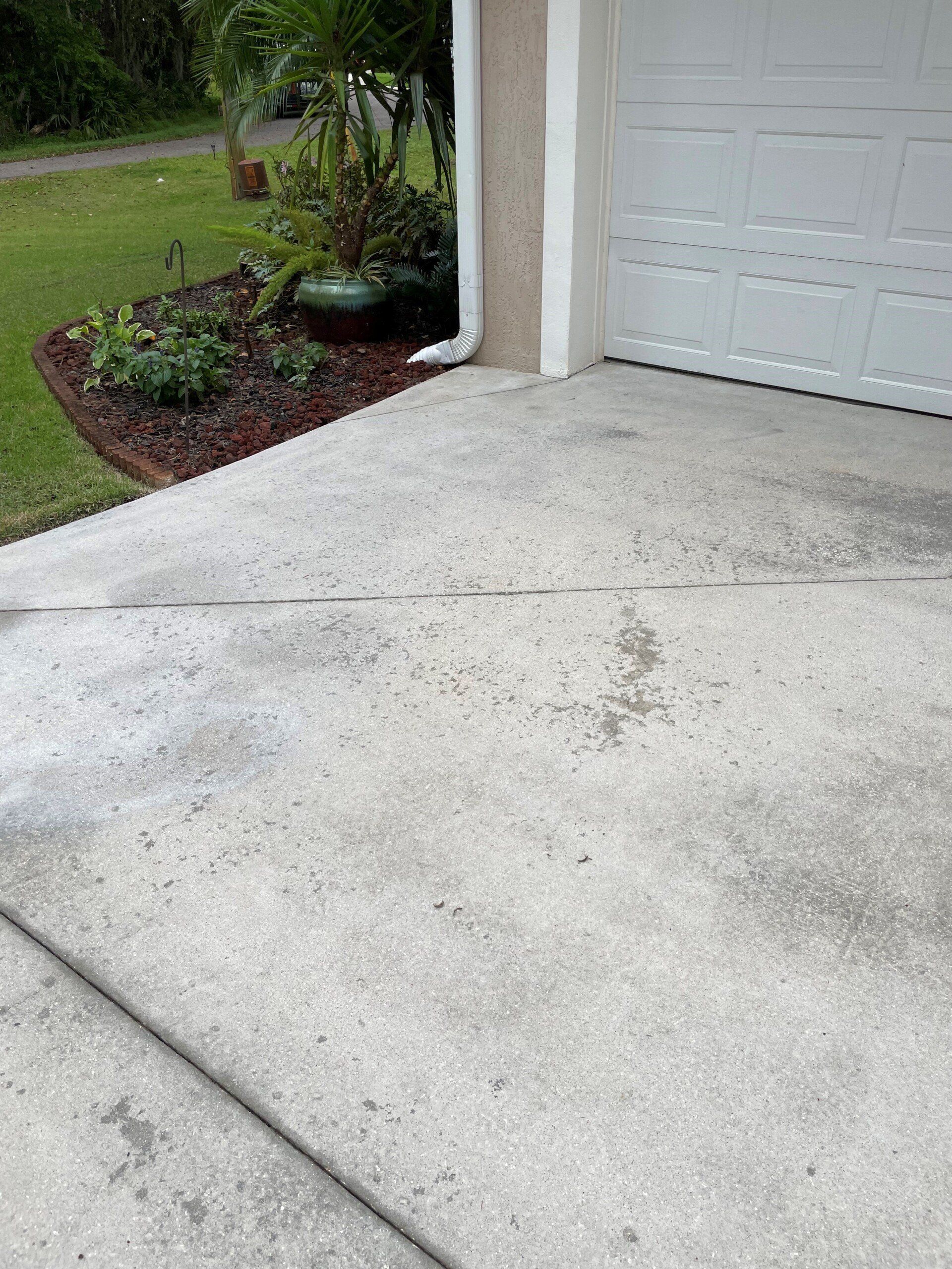 A concrete driveway leading to a garage door, positioned beside a landscaped garden bed with mulch and greenery.