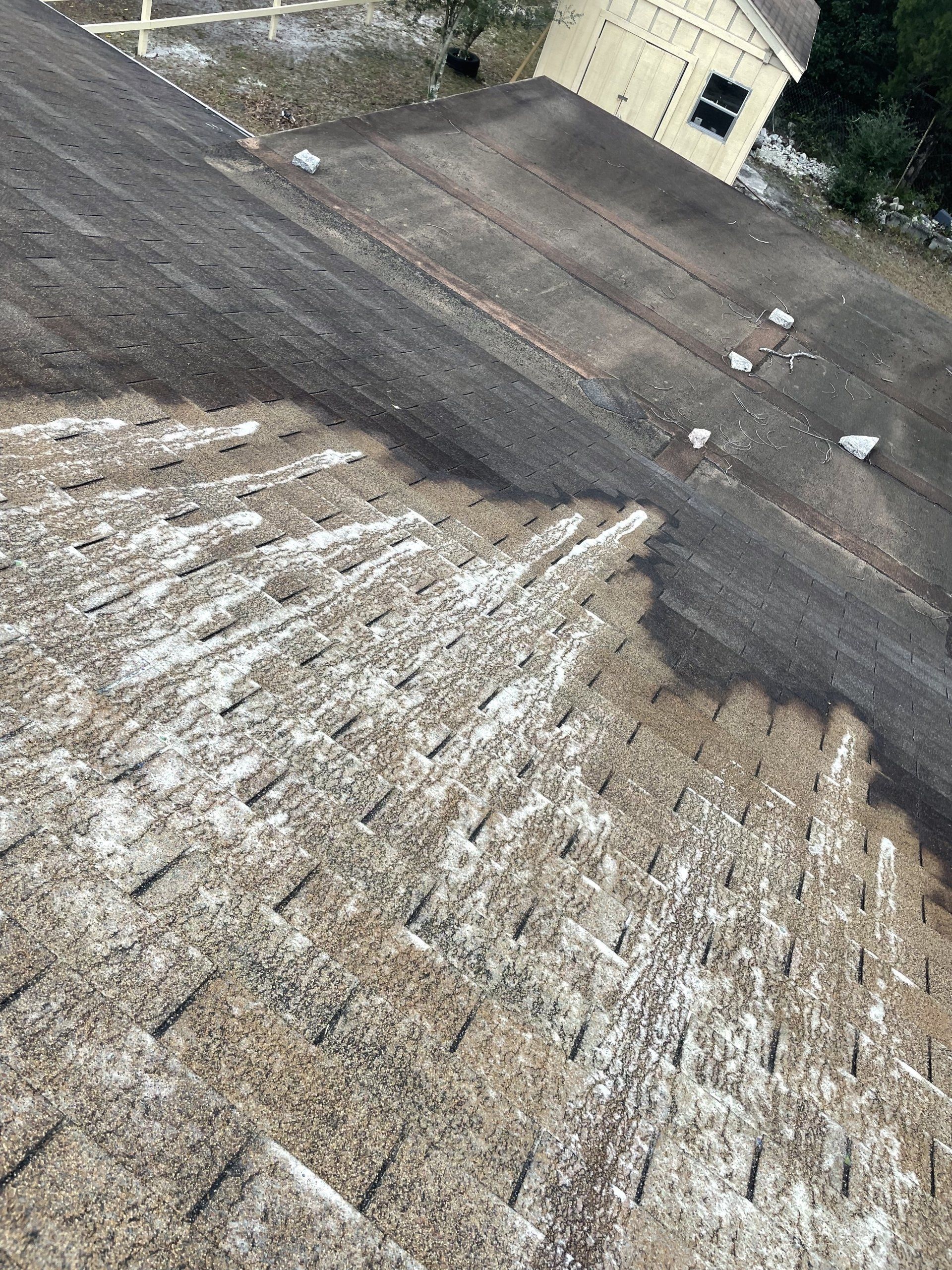 An angled, high-view shot of a shingled roof featuring a large, dark-stained area of algae or moss growth.