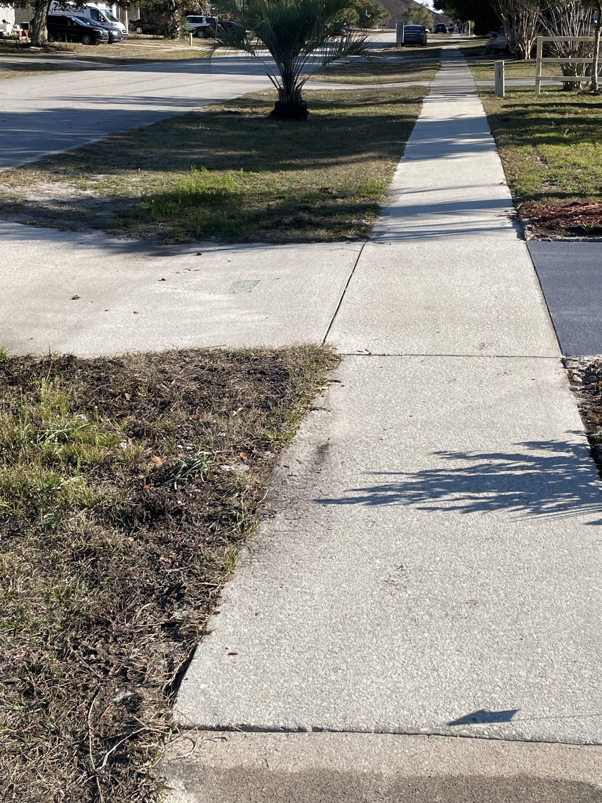 A straight concrete sidewalk extending into the distance alongside a grassy lawn and a palm tree on a sunny day.
