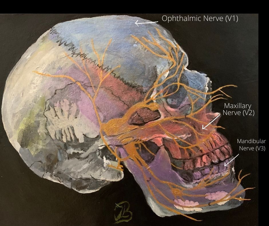 Trigeminal nerve
