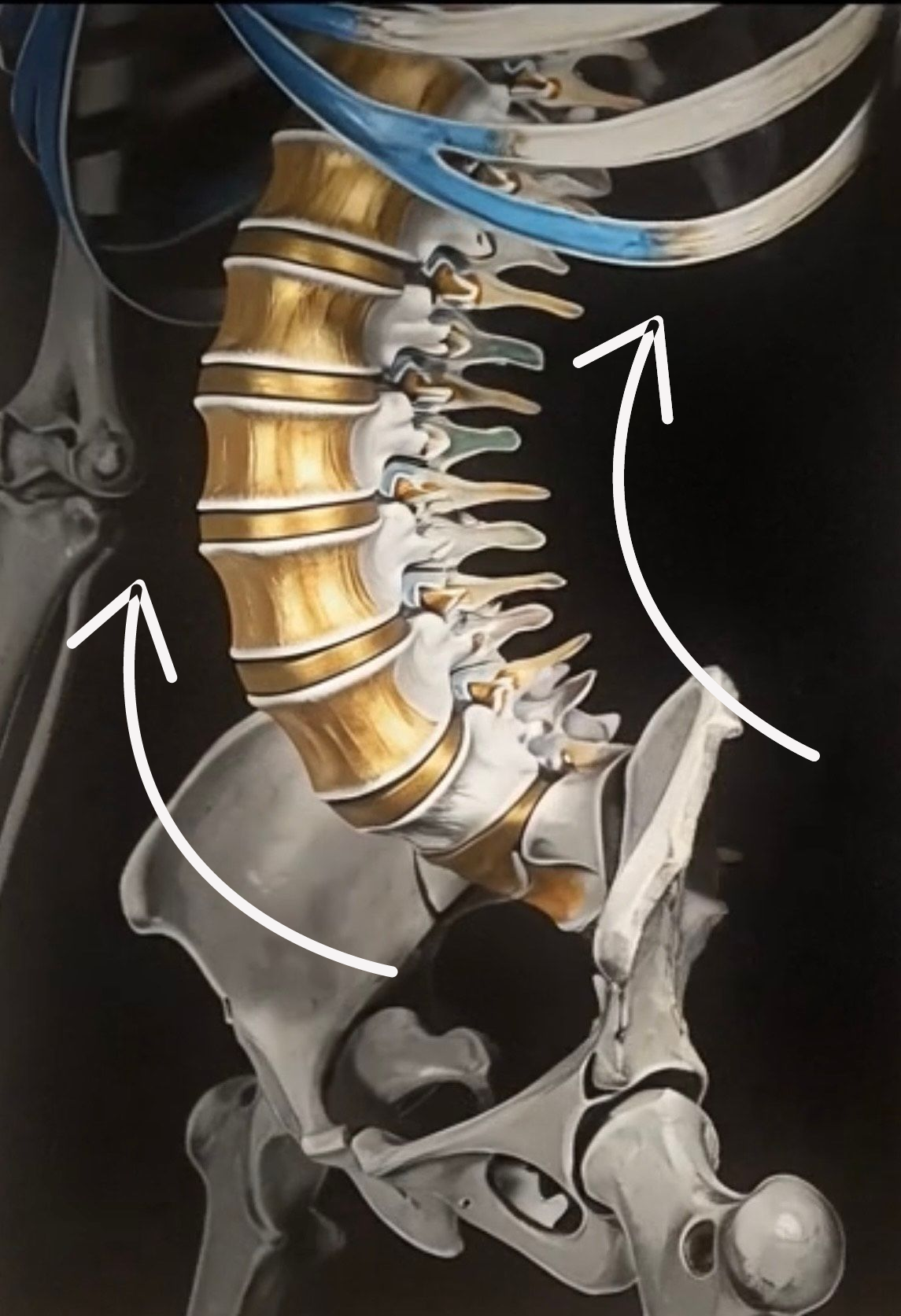 Lumbar Spine