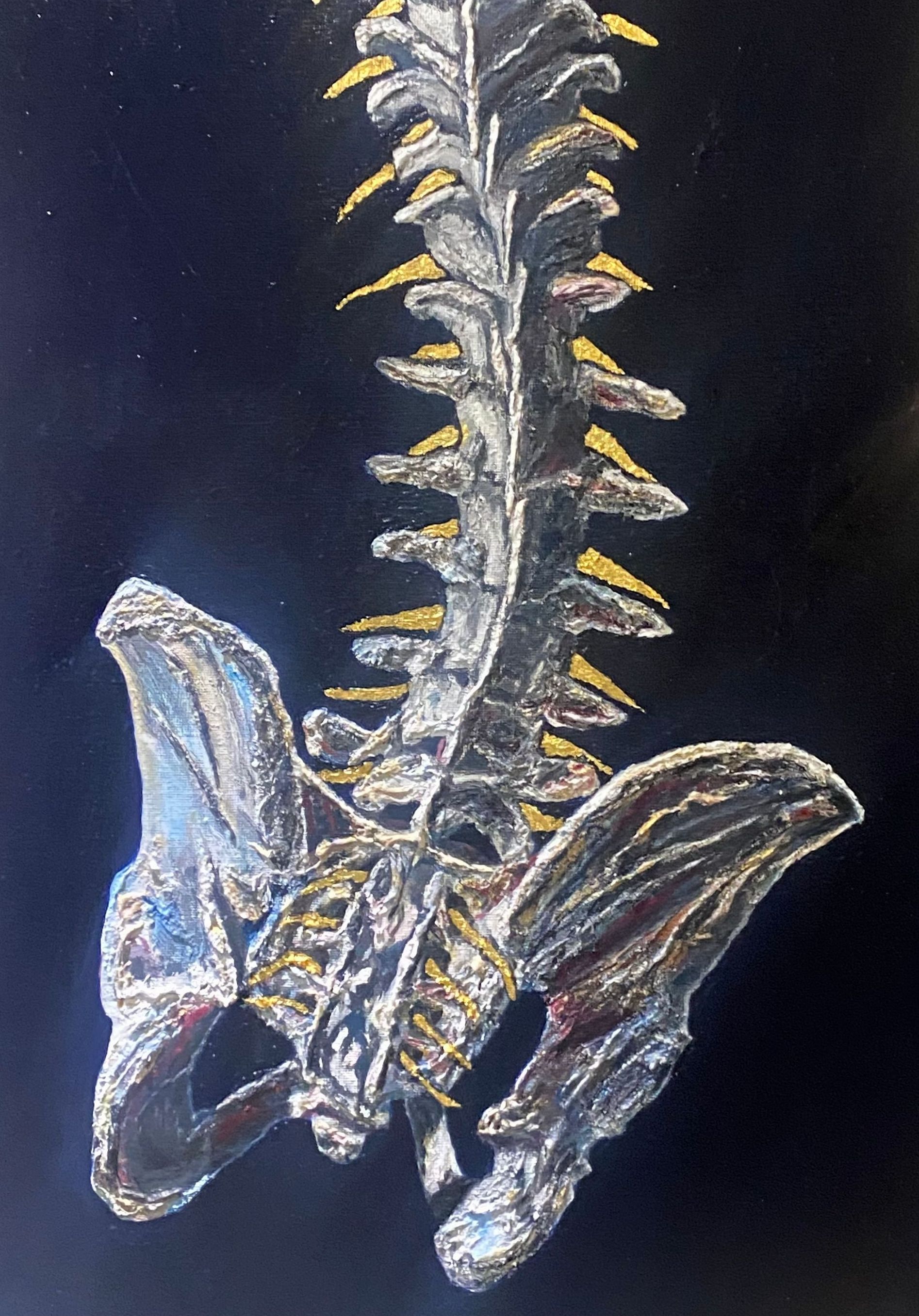 spine with nerves 