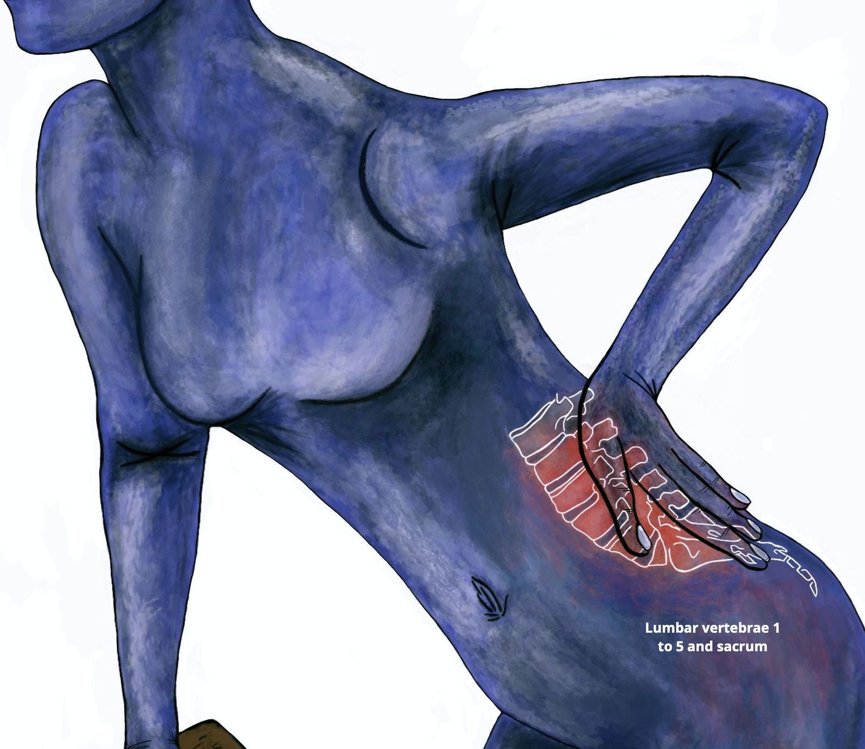 lower back pain in women