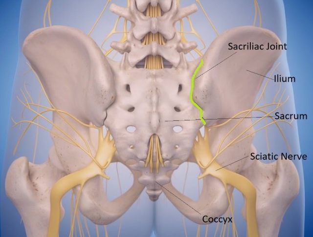 Lower Back Pain The Sacroiliac Joint