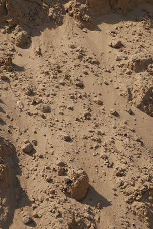 Fill Sand — Clinton Township, MI — B & W Landscape & Patio Supply