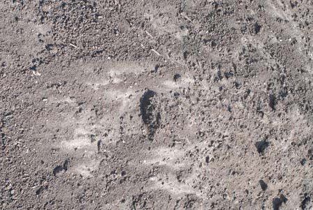 Michigan Peat — Clinton Township, MI — B & W Landscape & Patio Supply