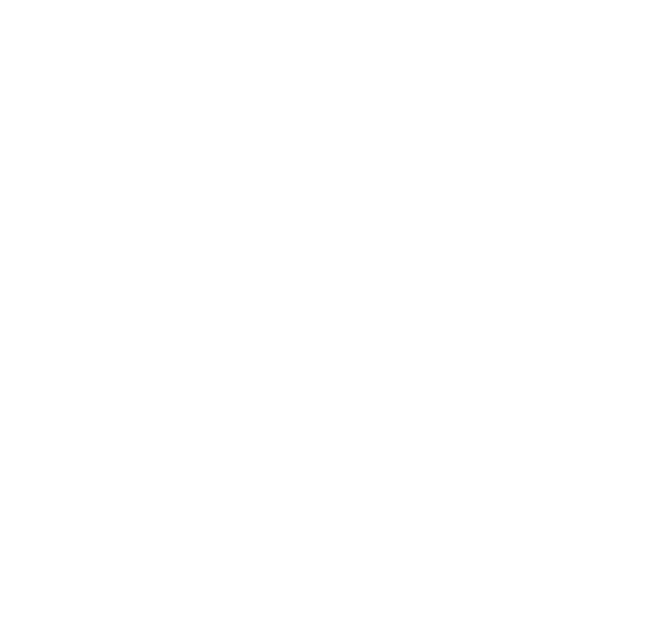 Paul Taylor for NC Senate District 21 Logo