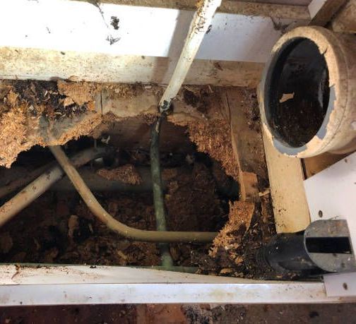 rotting subfloor from water damage