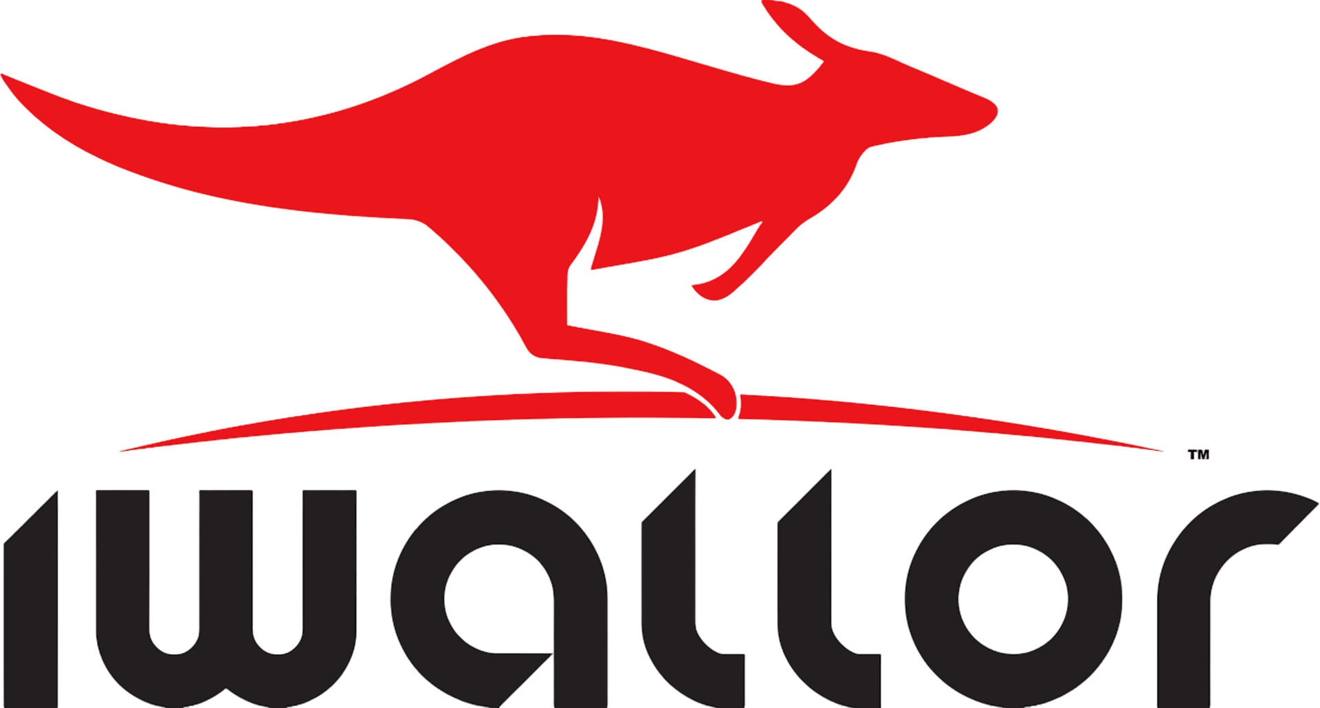Red kangaroo leaping above 