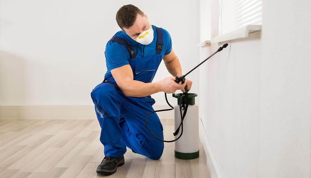 Residential Pest Control Services